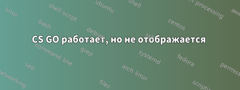 CS GO работает, но не отображается