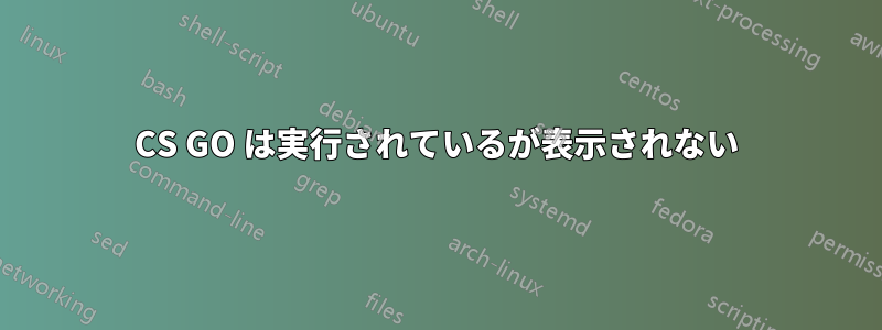 CS GO は実行されているが表示されない