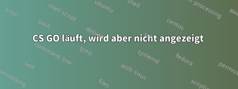 CS GO läuft, wird aber nicht angezeigt