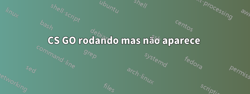 CS GO rodando mas não aparece