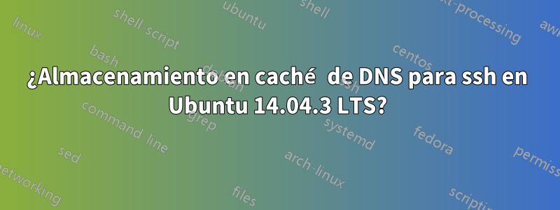 ¿Almacenamiento en caché de DNS para ssh en Ubuntu 14.04.3 LTS?