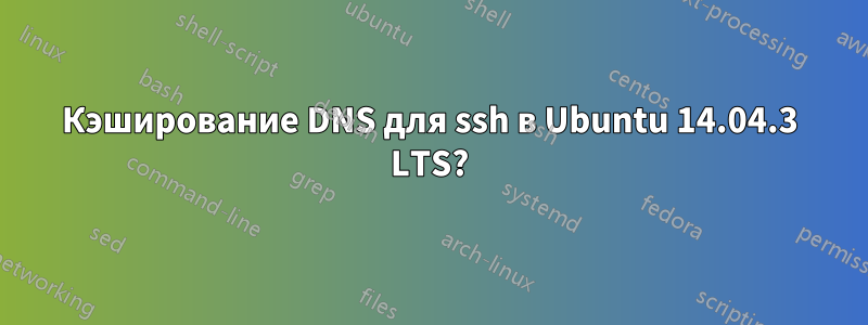 Кэширование DNS для ssh в Ubuntu 14.04.3 LTS?