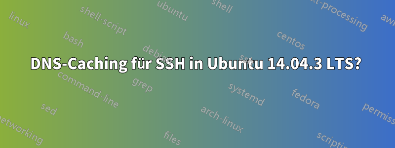 DNS-Caching für SSH in Ubuntu 14.04.3 LTS?