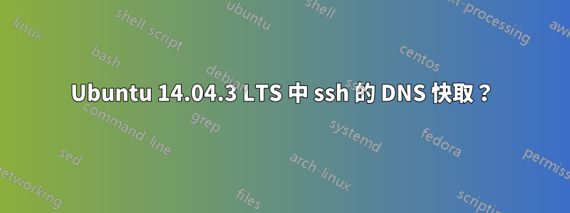 Ubuntu 14.04.3 LTS 中 ssh 的 DNS 快取？