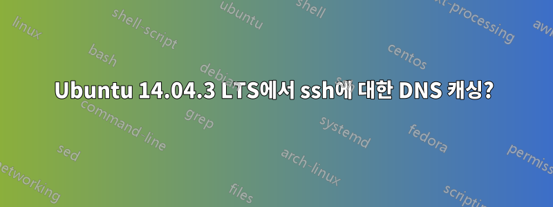 Ubuntu 14.04.3 LTS에서 ssh에 대한 DNS 캐싱?