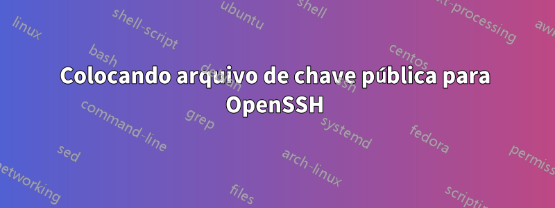 Colocando arquivo de chave pública para OpenSSH