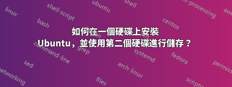 如何在一個硬碟上安裝 Ubuntu，並使用第二個硬碟進行儲存？