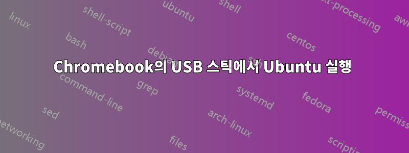 Chromebook의 USB 스틱에서 Ubuntu 실행