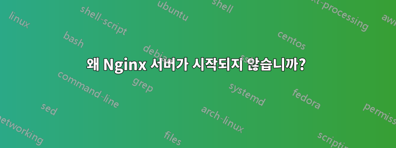 왜 Nginx 서버가 시작되지 않습니까?