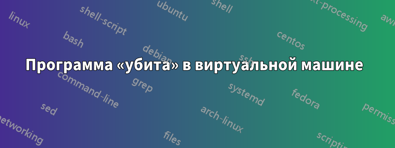 Программа «убита» в виртуальной машине 