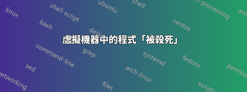 虛擬機器中的程式「被殺死」