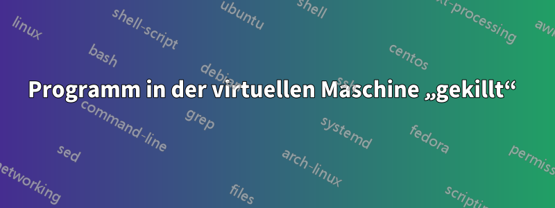 Programm in der virtuellen Maschine „gekillt“ 