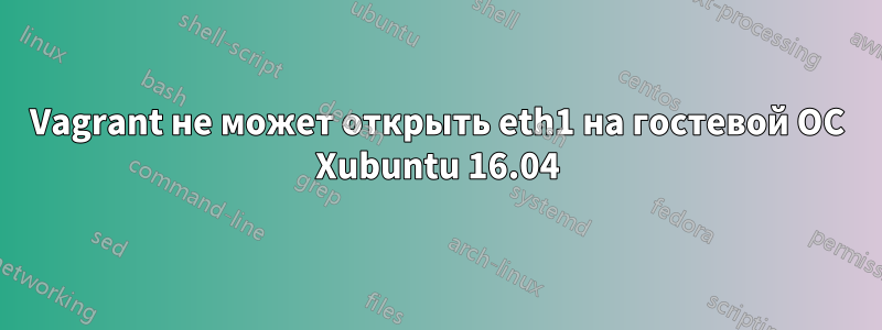 Vagrant не может открыть eth1 на гостевой ОС Xubuntu 16.04