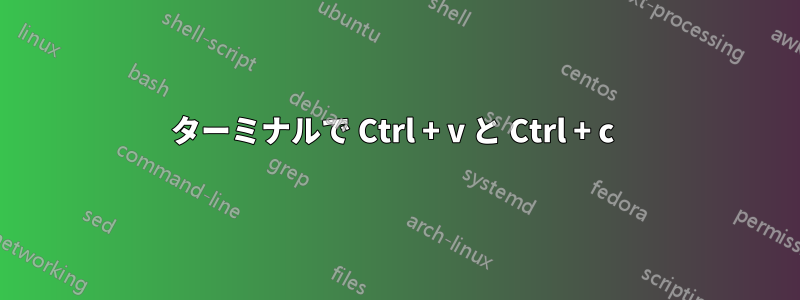 ターミナルで Ctrl + v と Ctrl + c 