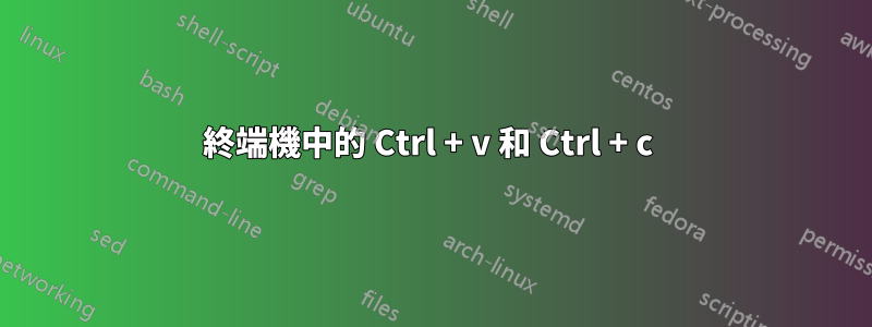 終端機中的 Ctrl + v 和 Ctrl + c 