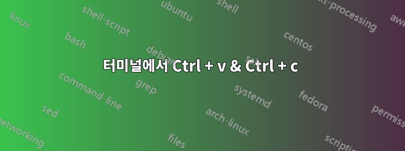 터미널에서 Ctrl + v & Ctrl + c