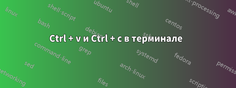 Ctrl + v и Ctrl + c в терминале 