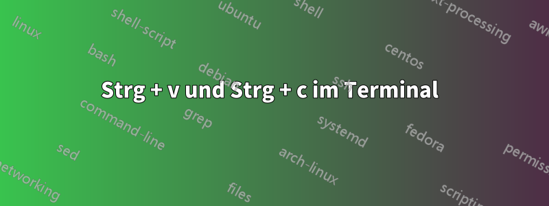 Strg + v und Strg + c im Terminal 