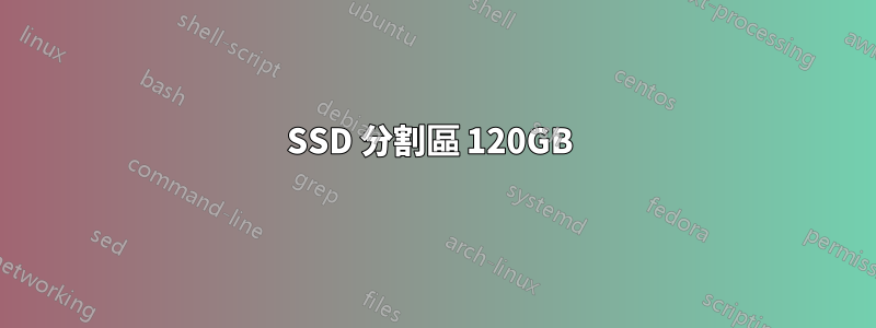 SSD 分割區 120GB 