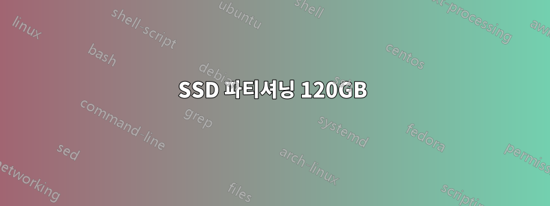 SSD 파티셔닝 120GB