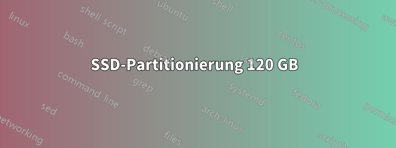 SSD-Partitionierung 120 GB 