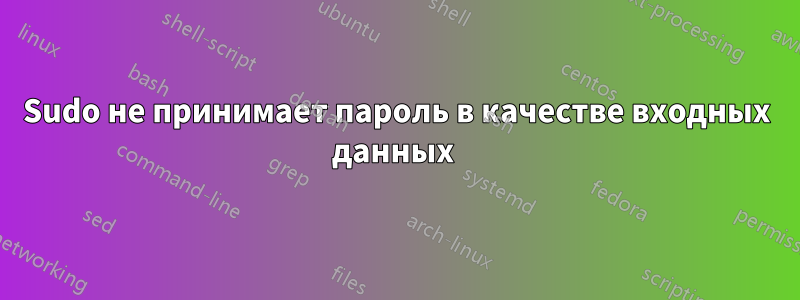 Sudo не принимает пароль в качестве входных данных 