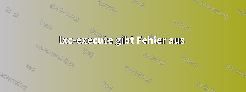 lxc-execute gibt Fehler aus