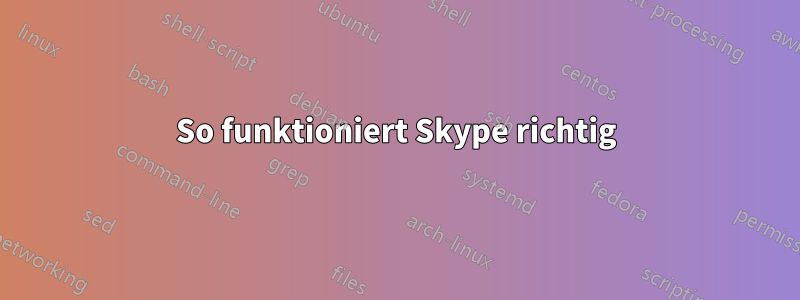 So funktioniert Skype richtig