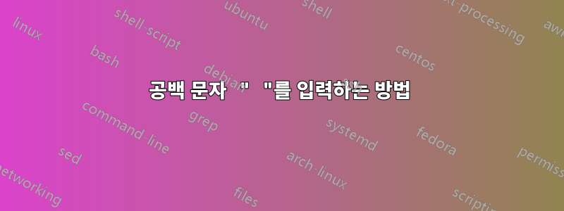 공백 문자 " "를 입력하는 방법