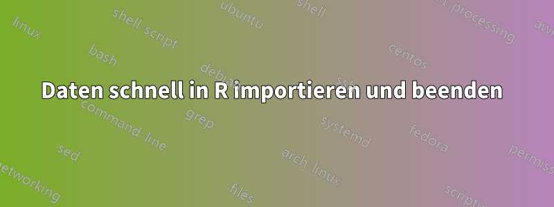 Daten schnell in R importieren und beenden 