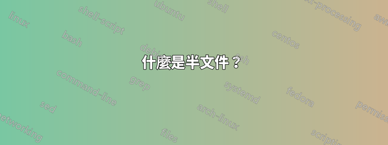 什麼是半文件？