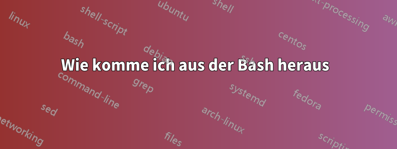 Wie komme ich aus der Bash heraus 