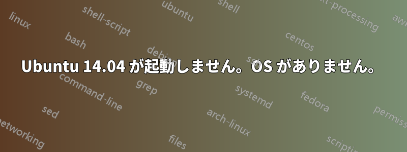 Ubuntu 14.04 が起動しません。OS がありません。