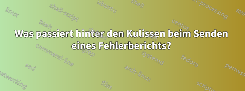 Was passiert hinter den Kulissen beim Senden eines Fehlerberichts?