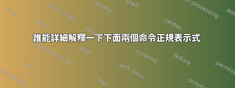 誰能詳細解釋一下下面兩個命令正規表示式