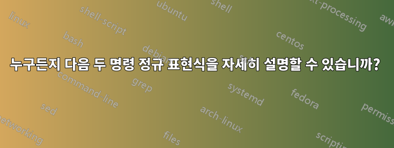 누구든지 다음 두 명령 정규 표현식을 자세히 설명할 수 있습니까?