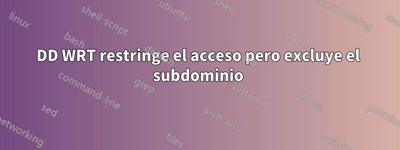 DD WRT restringe el acceso pero excluye el subdominio