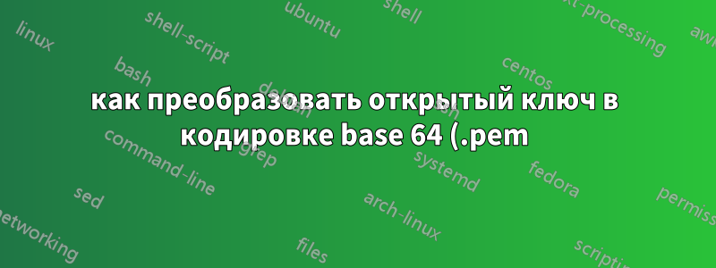 как преобразовать открытый ключ в кодировке base 64 (.pem) в bytearray?