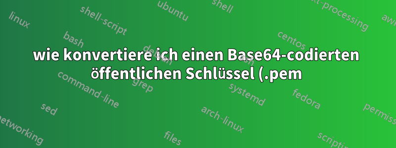 wie konvertiere ich einen Base64-codierten öffentlichen Schlüssel (.pem) in ein Bytearray?
