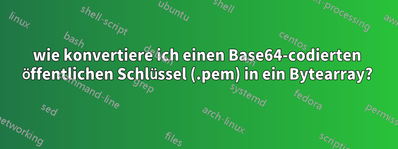 wie konvertiere ich einen Base64-codierten öffentlichen Schlüssel (.pem) in ein Bytearray?