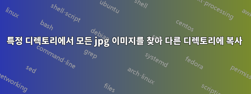 특정 디렉토리에서 모든 jpg 이미지를 찾아 다른 디렉토리에 복사