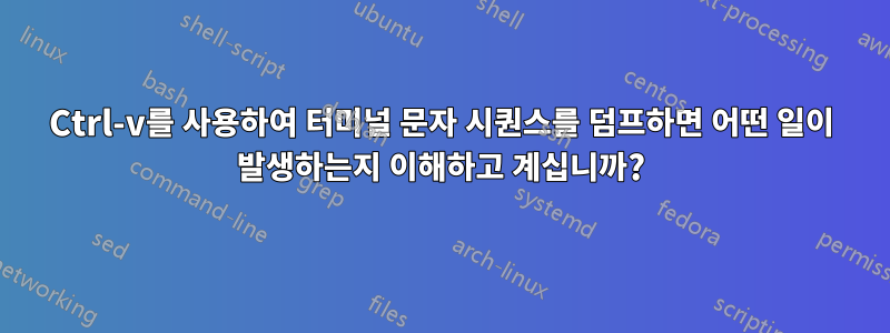 Ctrl-v를 사용하여 터미널 문자 시퀀스를 덤프하면 어떤 일이 발생하는지 이해하고 계십니까?