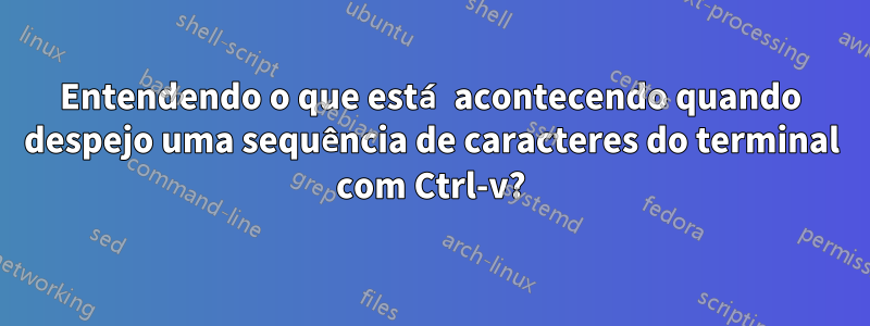 Entendendo o que está acontecendo quando despejo uma sequência de caracteres do terminal com Ctrl-v?