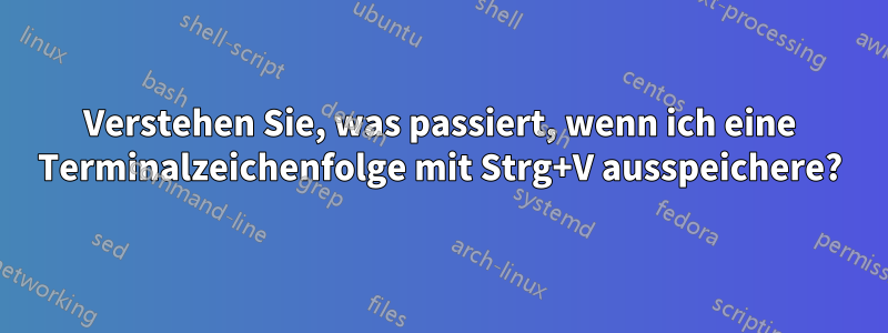 Verstehen Sie, was passiert, wenn ich eine Terminalzeichenfolge mit Strg+V ausspeichere?