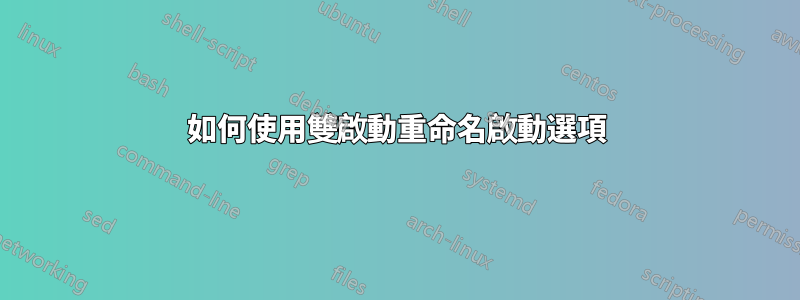 如何使用雙啟動重命名啟動選項