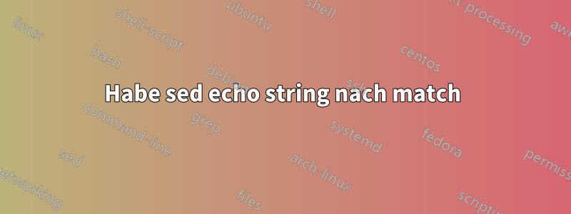 Habe sed echo string nach match