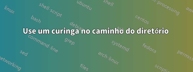 Use um curinga no caminho do diretório