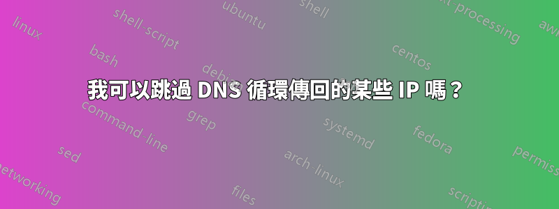 我可以跳過 DNS 循環傳回的某些 IP 嗎？