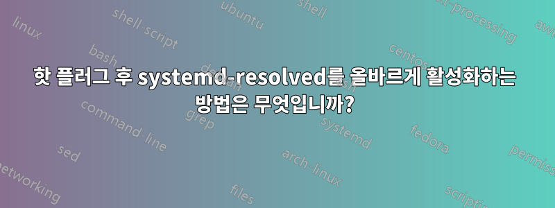 핫 플러그 ​​후 systemd-resolved를 올바르게 활성화하는 방법은 무엇입니까?