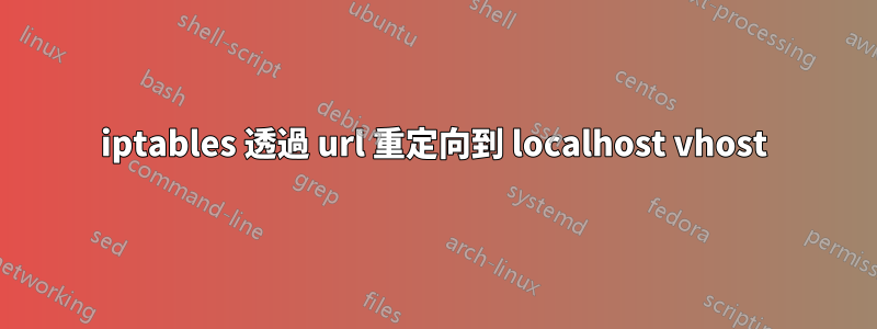 iptables 透過 url 重定向到 localhost vhost